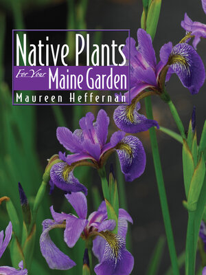 cover image of Native Plants for Your Maine Garden